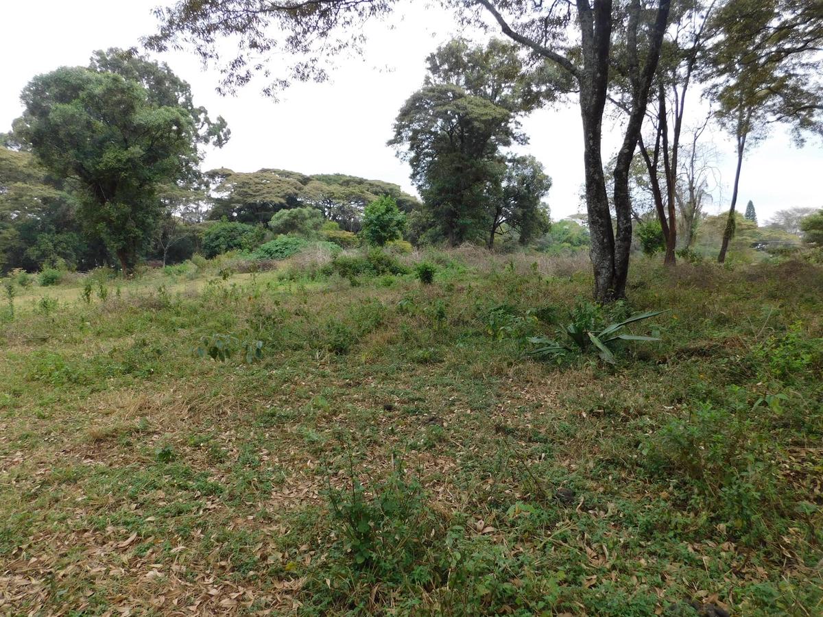 9 ac Land in Karen - 1