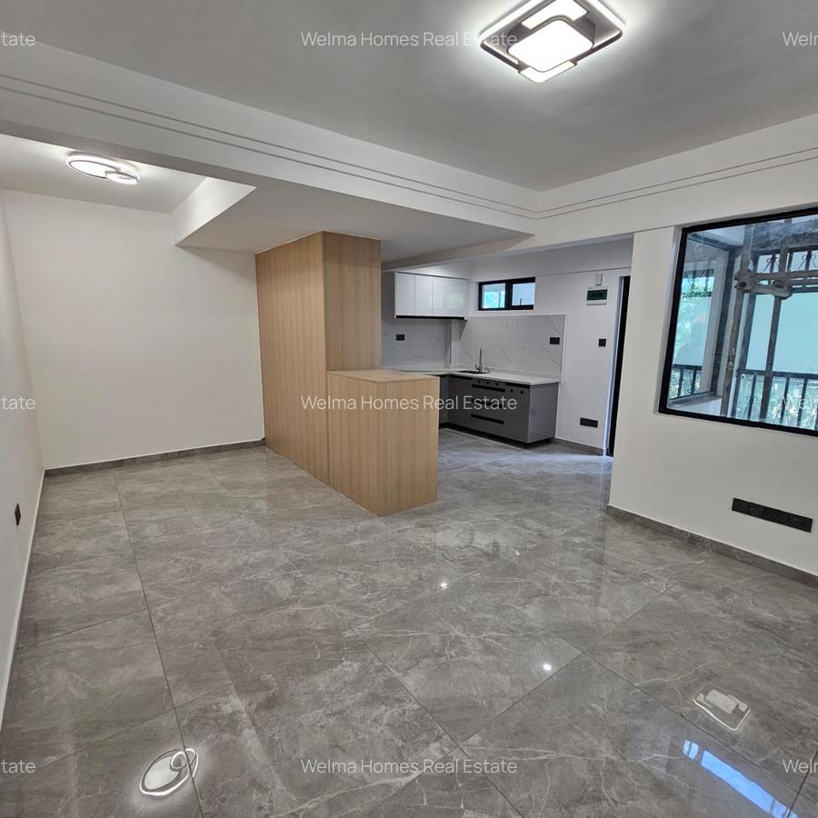 Studio Apartment with Gym in Lavington - 2