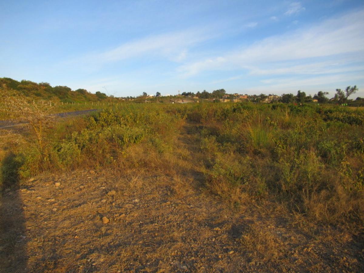 Land at Naivasha Town - 6