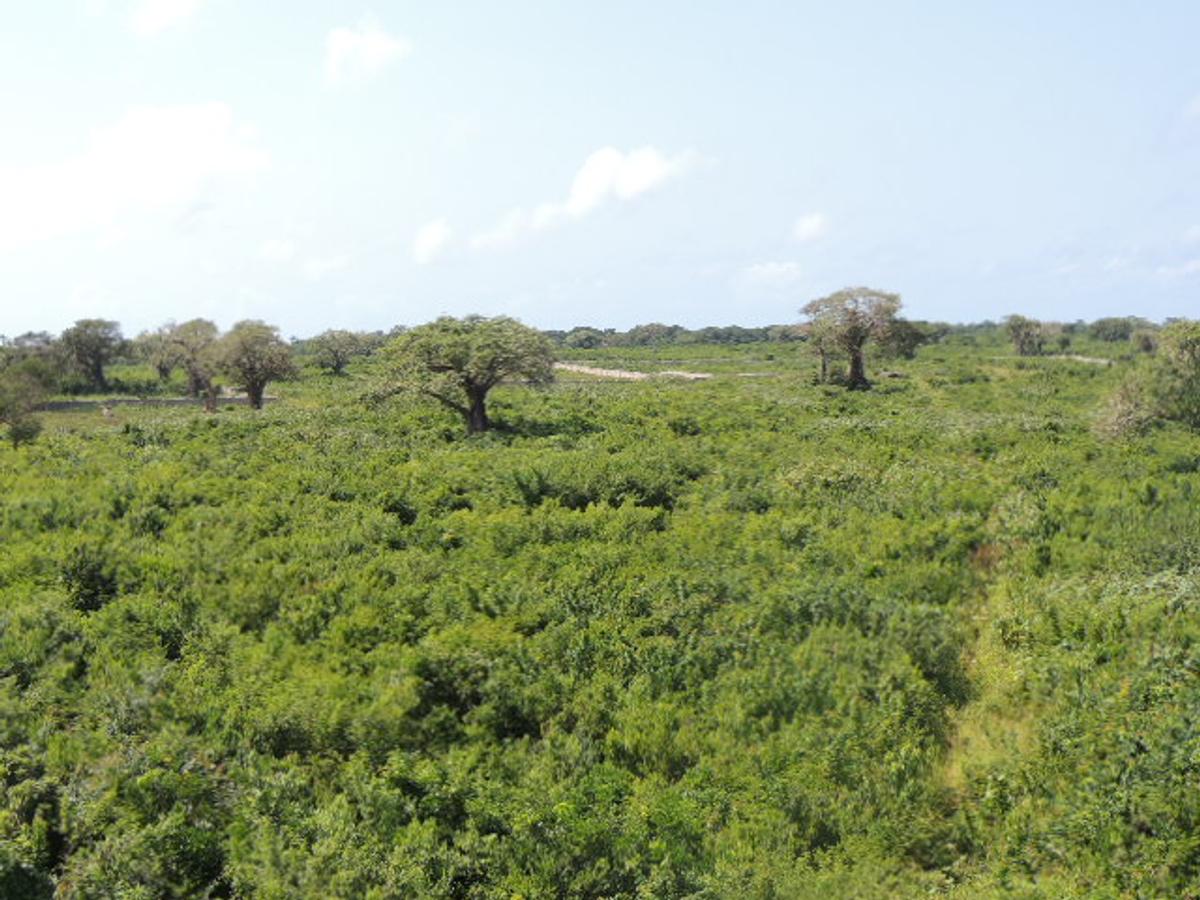 1,012 m² Residential Land at Diani Beach Road - 10