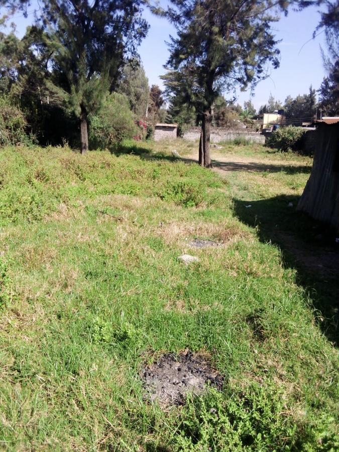 0.5 ac Land at Bulbul Ngong Nairobi Town - 7