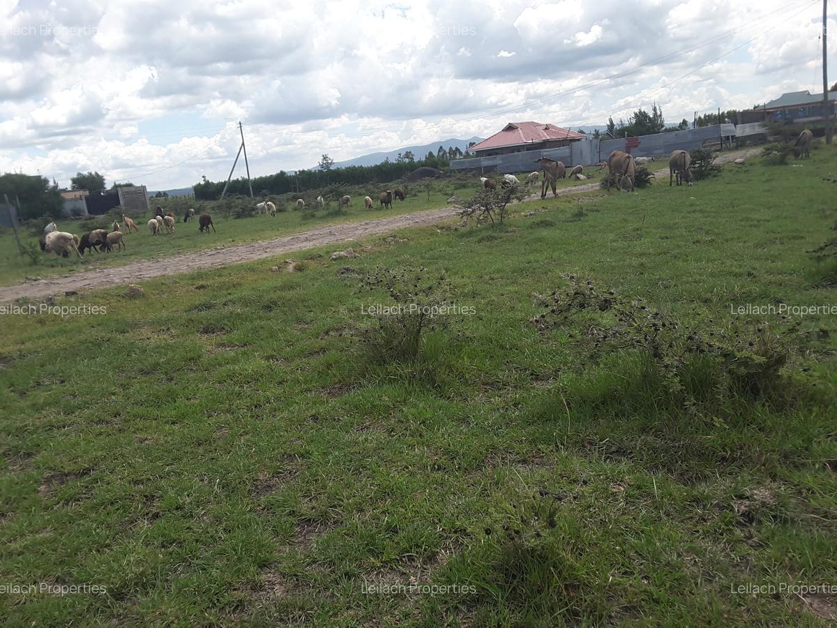 0.1 ha Residential Land in Ongata Rongai - 11