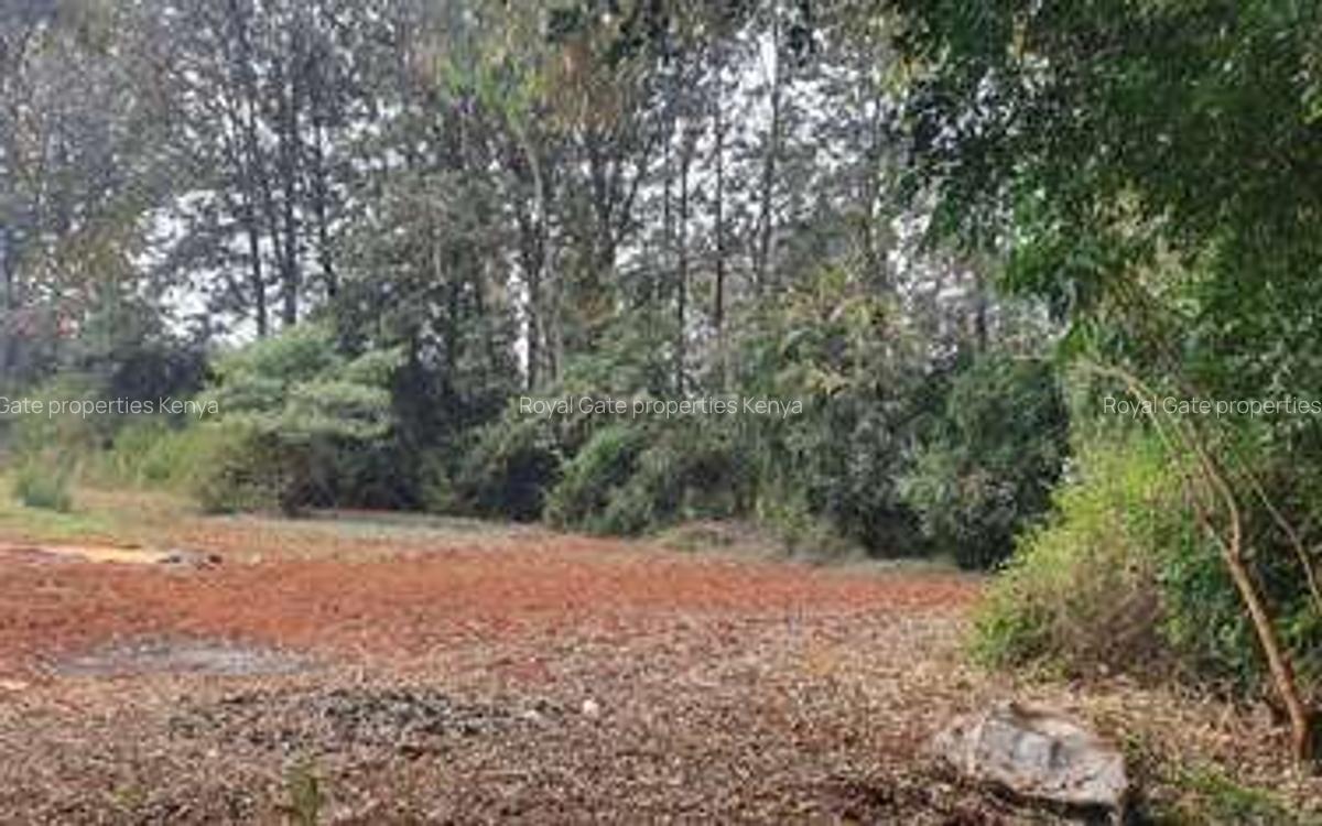0.5 ac Residential Land at Nyari - 9