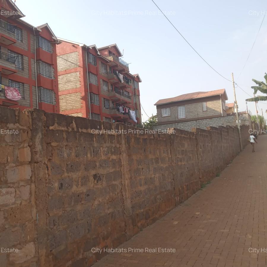 0.125 ac Land in Ruaka - 3