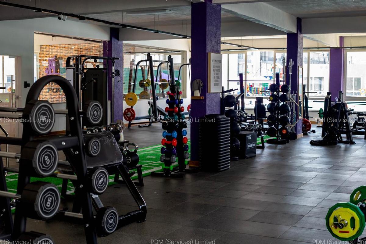 3 Bed Apartment with En Suite in Syokimau - 9