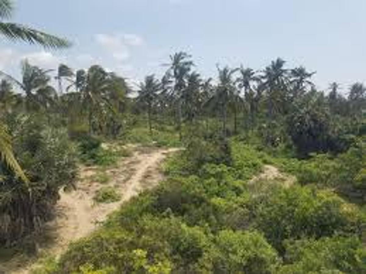 5,000 ac Residential Land in Diani - 11