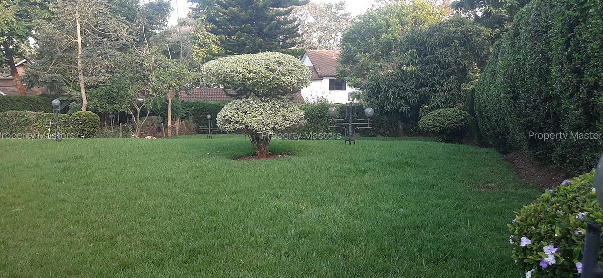 5 Bed House with En Suite at Duom Palm Street - 17