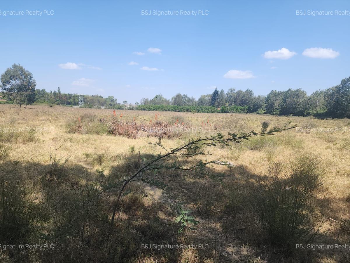 0.5 ac Land in Karen - 7