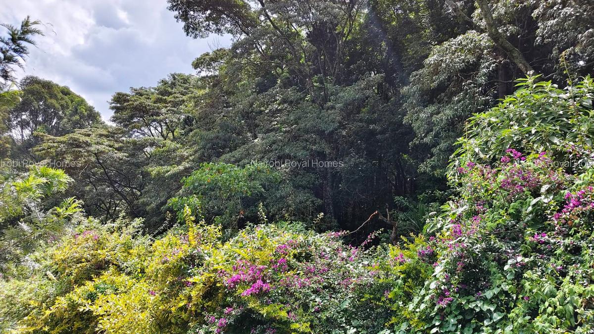 4 Bed House with En Suite at Thigiri Ridge - 2