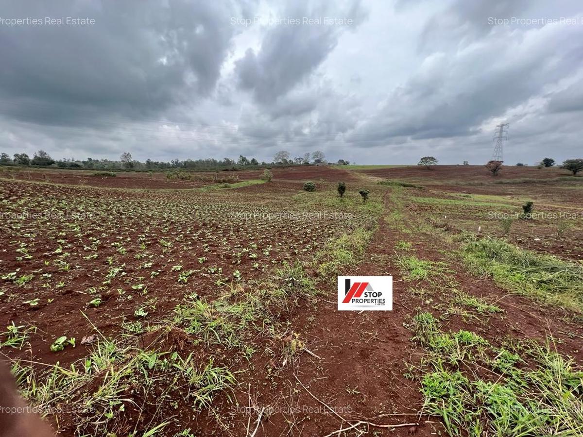 Land in Kiambu Town - 6