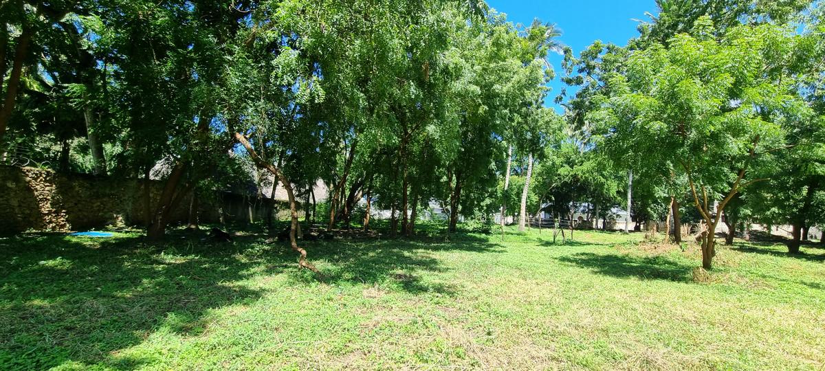 1,000 m² Land at Mtwapa - 3