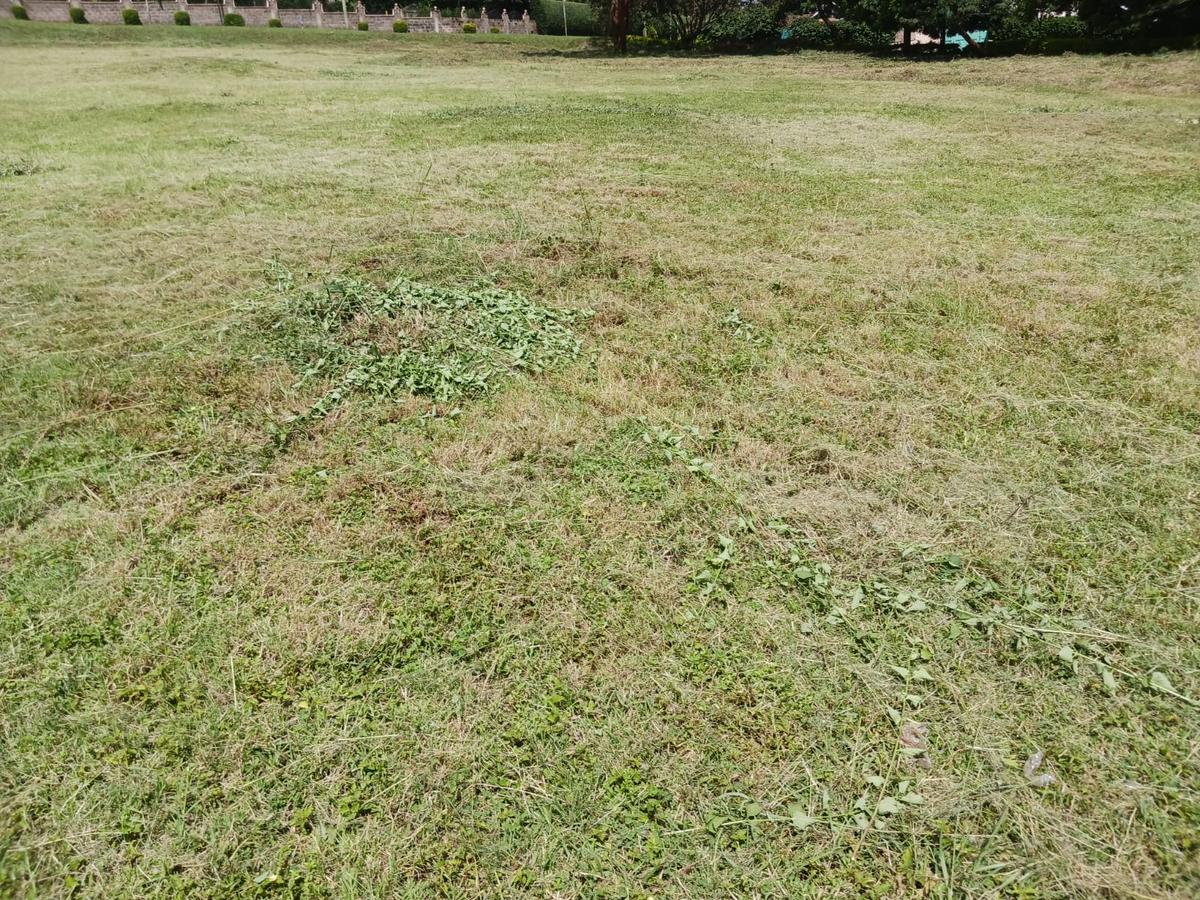 2.25 ac Land at Kitisuru - 13