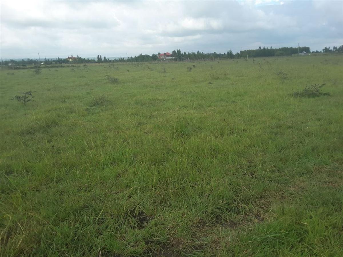 0.1 ac Residential Land in Ongata Rongai - 2