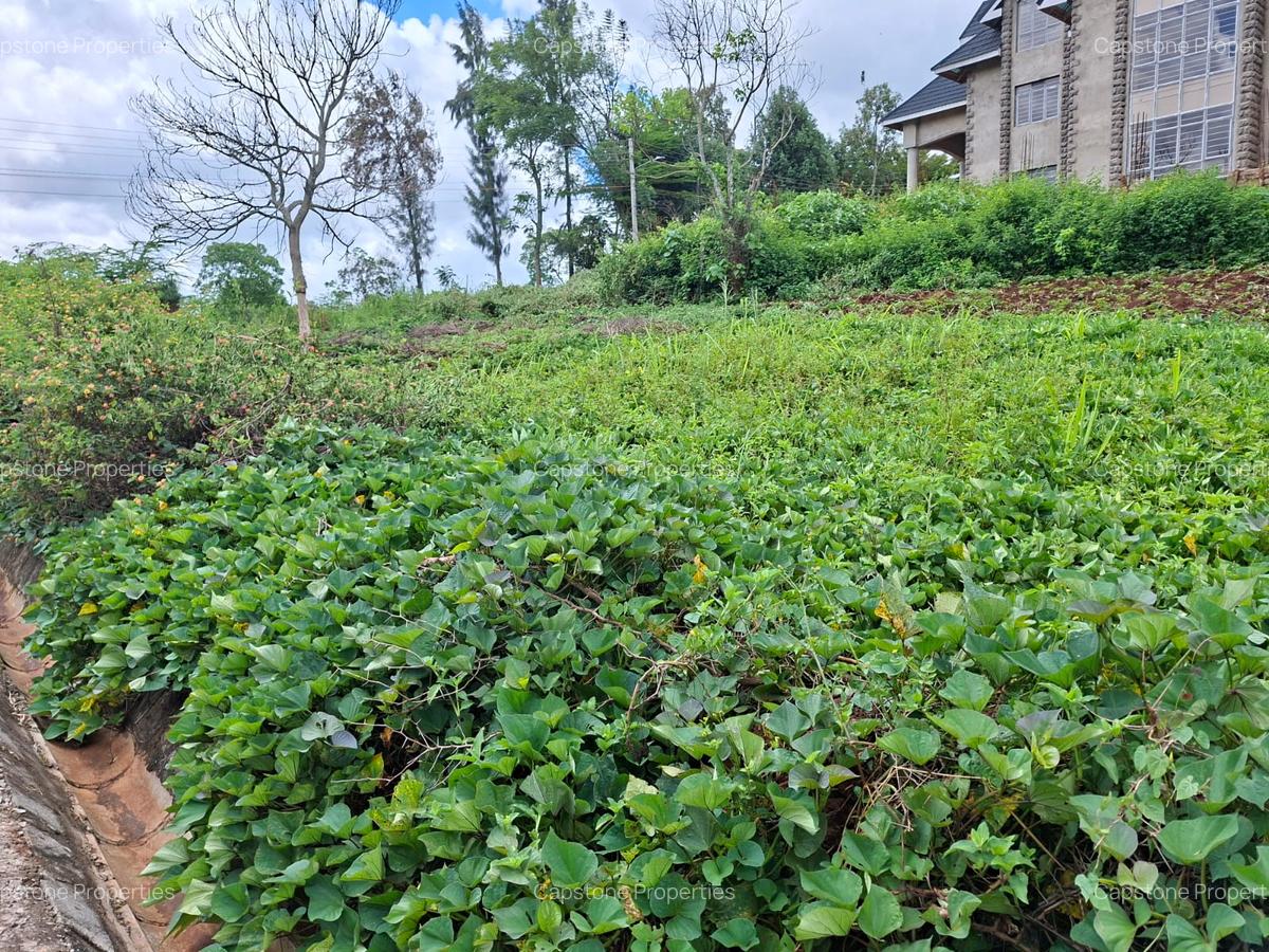 Residential Land in Runda - 3