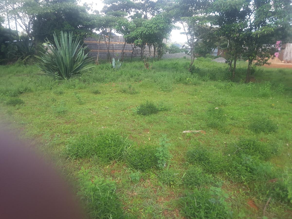 0.125 ac Residential Land in Ongata Rongai - 4