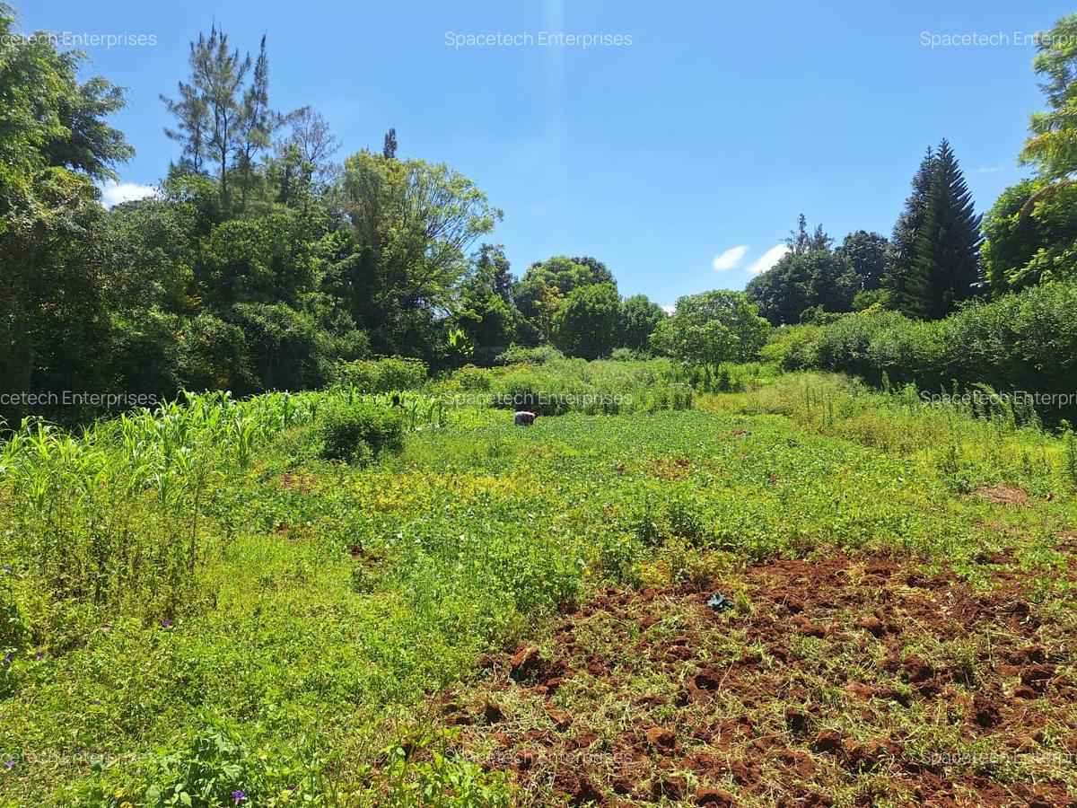 Residential Land in Runda - 2