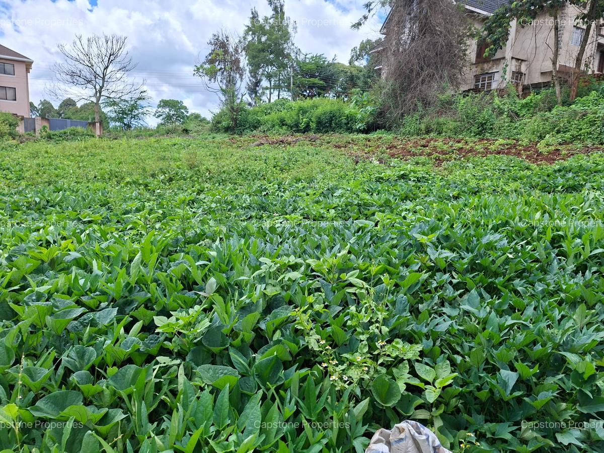 Residential Land in Runda - 2