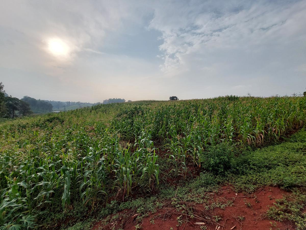 Land at Kitisuru Road - 3