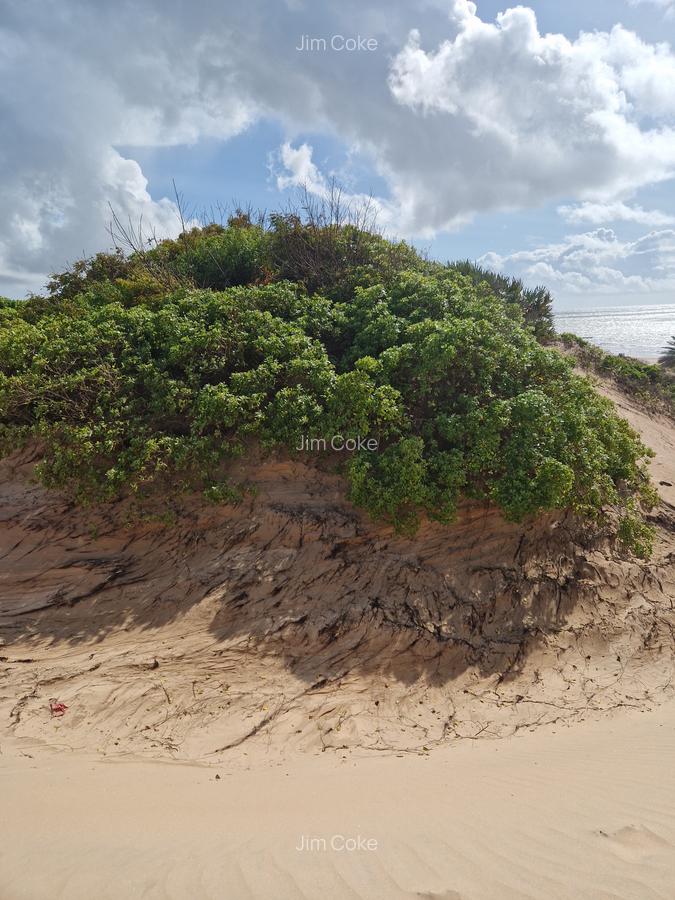 0.125 ac Land in Malindi - 9