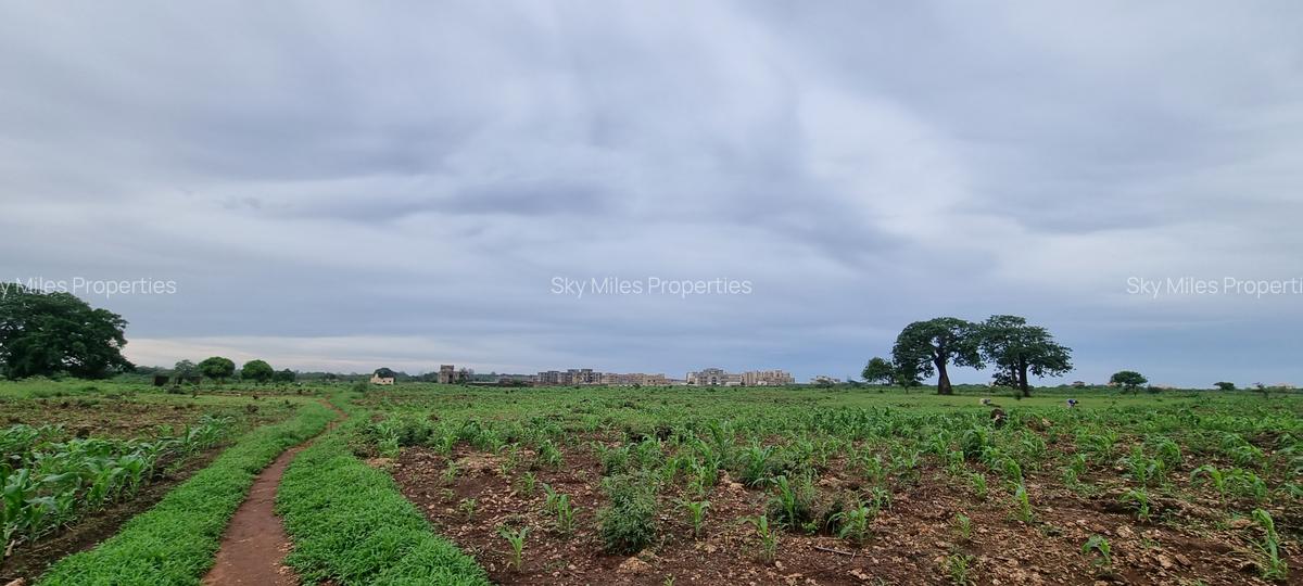 5 ac Land at Vipingo - 10