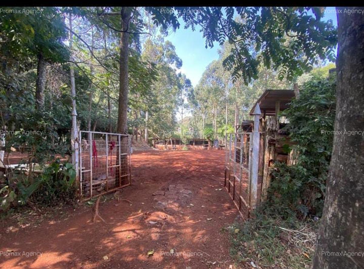 Land in Kitisuru - 4