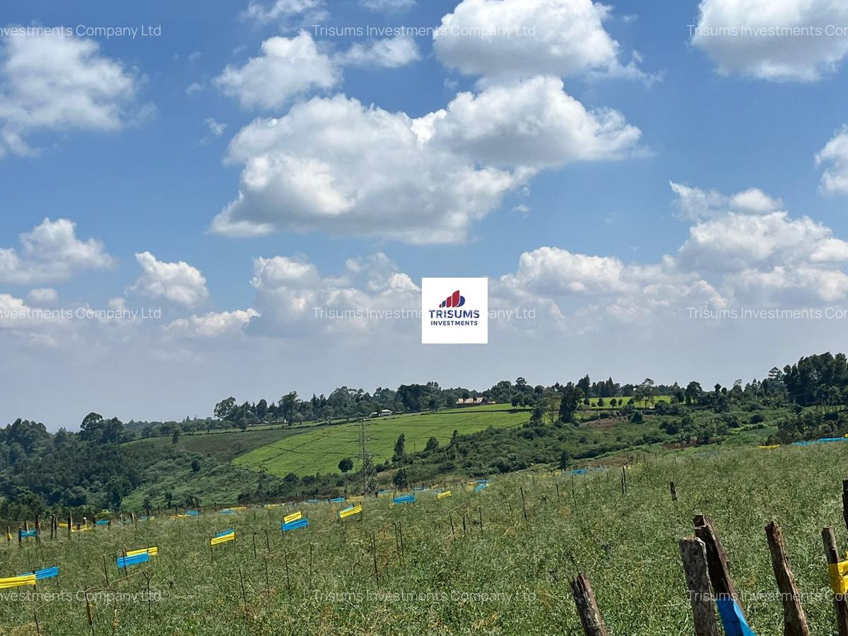 16.5 ac Land in Tigoni - 4
