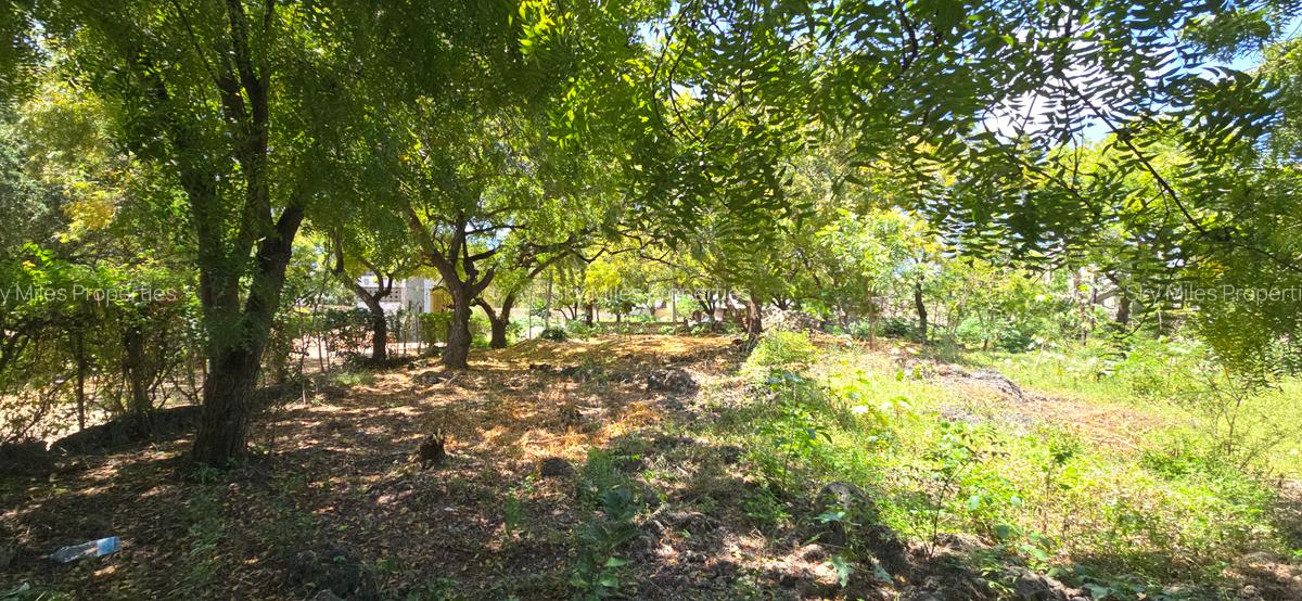 1 ac Land at Hemingways - 10