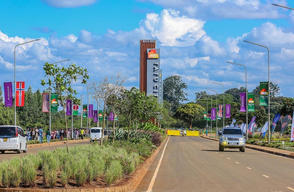 1 Bed Apartment with En Suite in Tatu City - 7