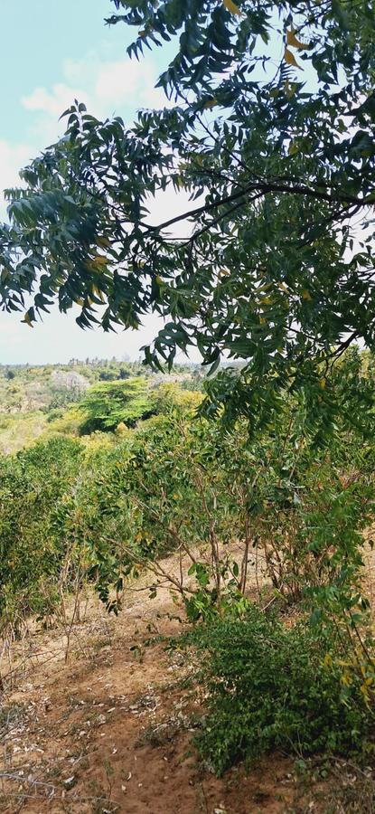 Land in Kilifi - 2