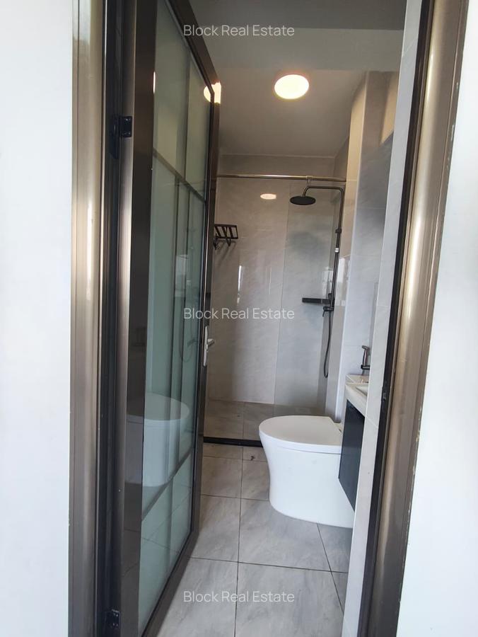 Studio Apartment with En Suite in Upper Hill - 6