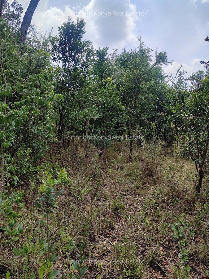 Residential Land at Hardy - 16