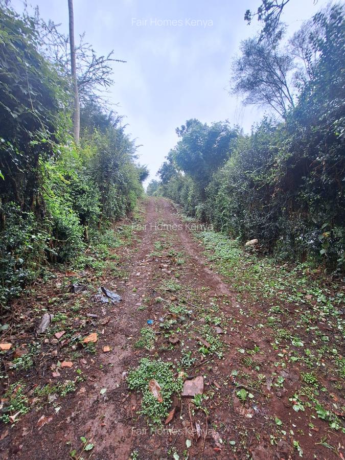 1 ac Land at Runda Groove - 17