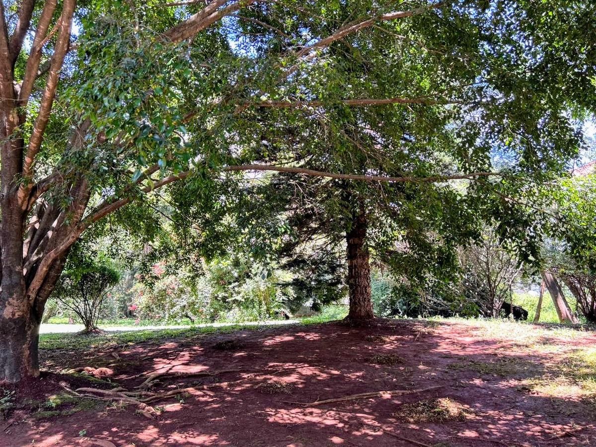 2.2 ac Land in Lavington - 5