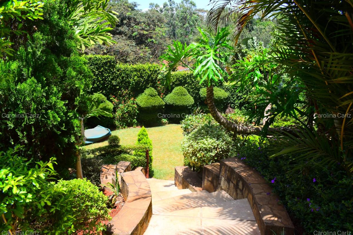 4 Bed House with En Suite in Westlands Area - 3