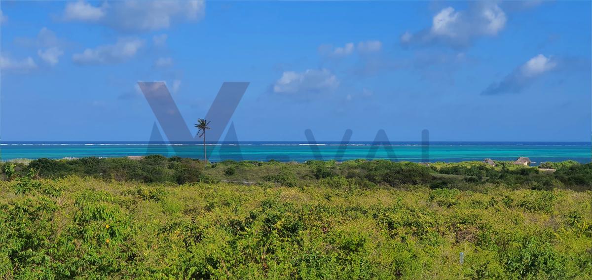 0.25 ac Land at Casaurina Watamu Road - 10