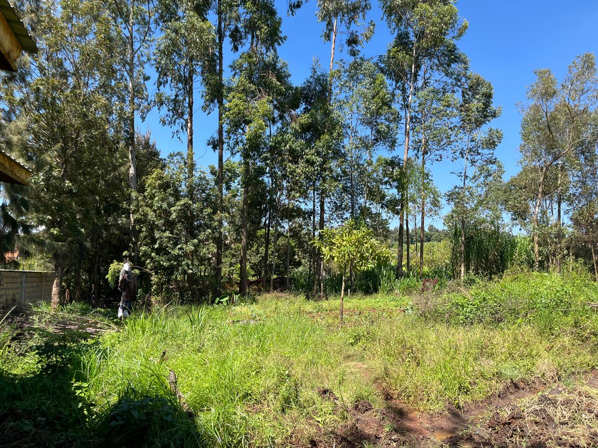 0.5 ac Land in Loresho - 6