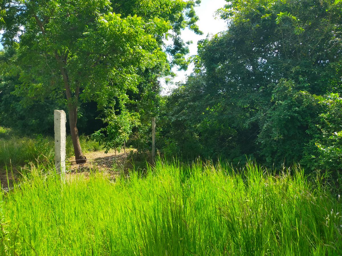 Land in Kilifi County - 15