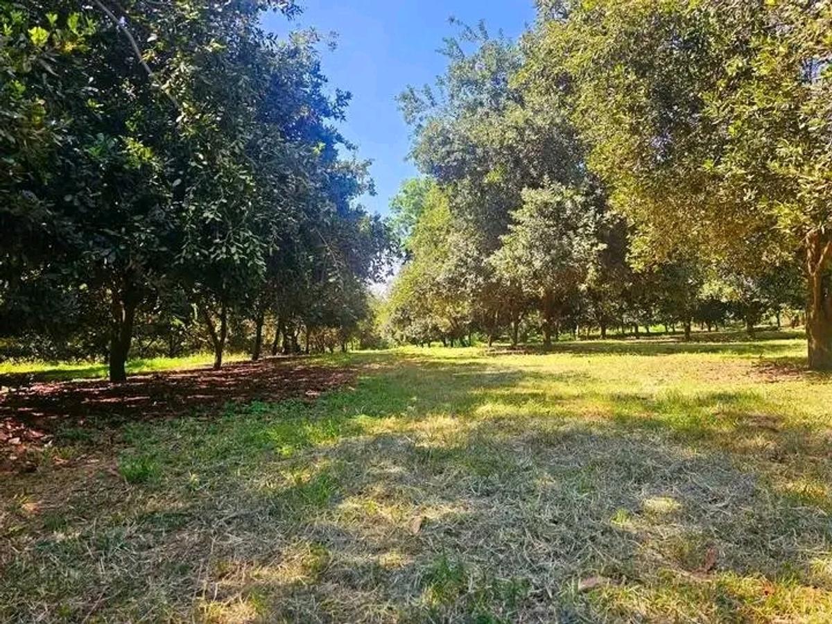 50 ft² Residential Land at Juja - 17