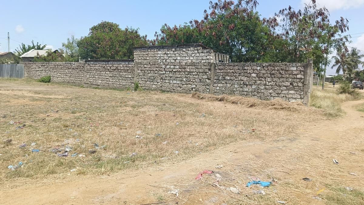 500 m² Residential Land at Mwembelegza - 1