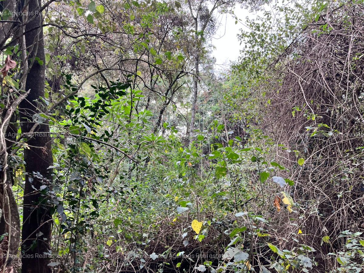 Commercial Land at Karen - 1