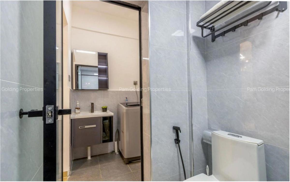 Furnished 1 Bed Apartment with En Suite in Rhapta Road - 11