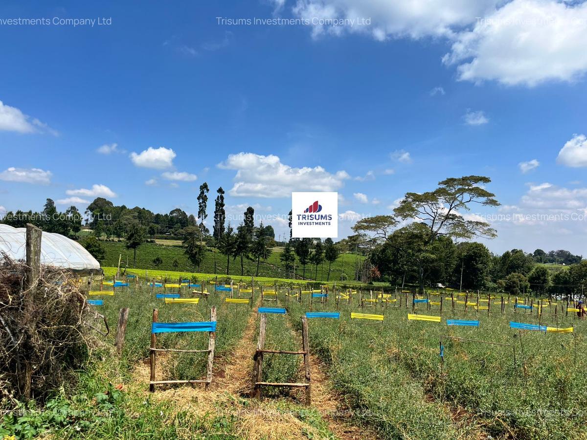 16.5 ac Land in Tigoni - 10