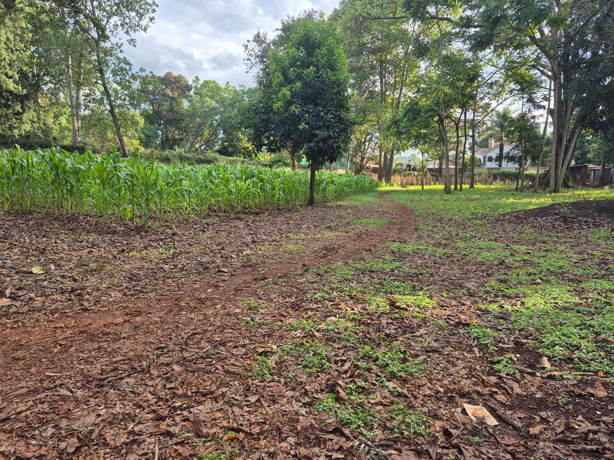 Land in Thigiri - 1