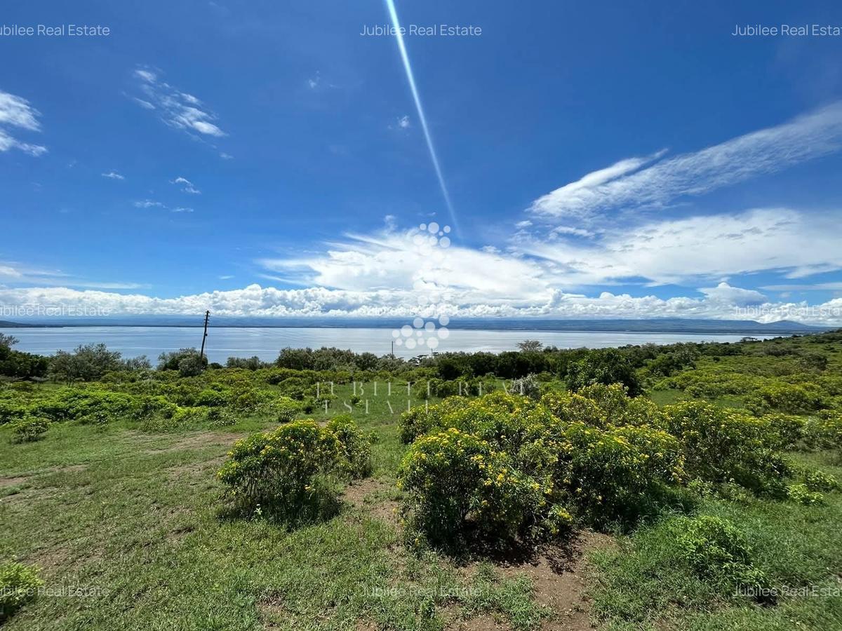 21.1 ac Land in Naivasha - 9