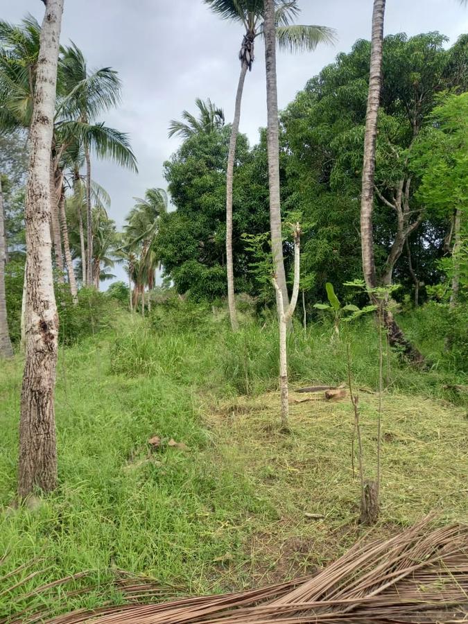 1 ac Land in Kikambala - 5