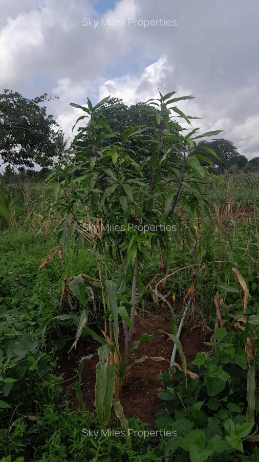 13 ac Land at Majaoni - 15