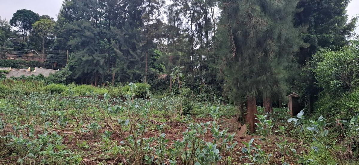 0.5 ac Land in Ngong - 8