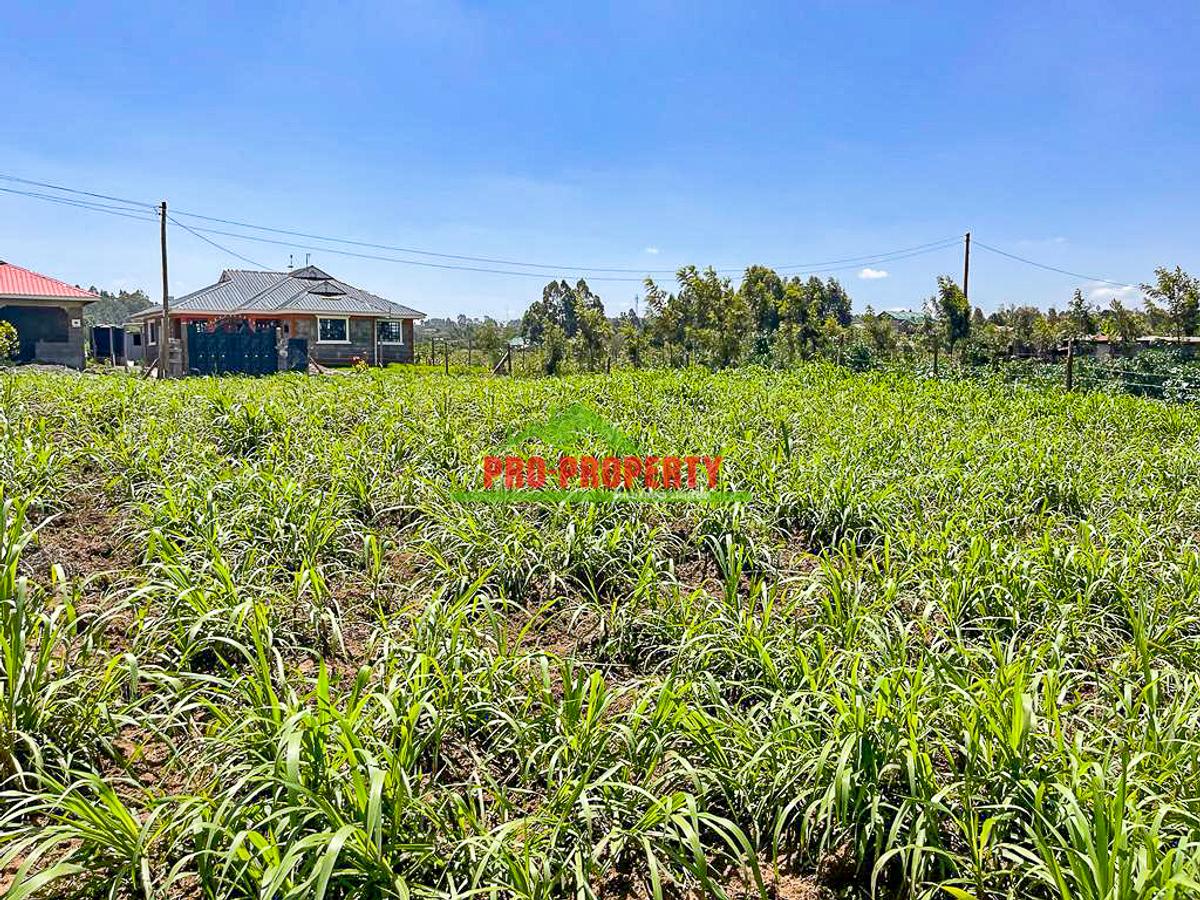 0.125 ac Residential Land at Kamangu - 16