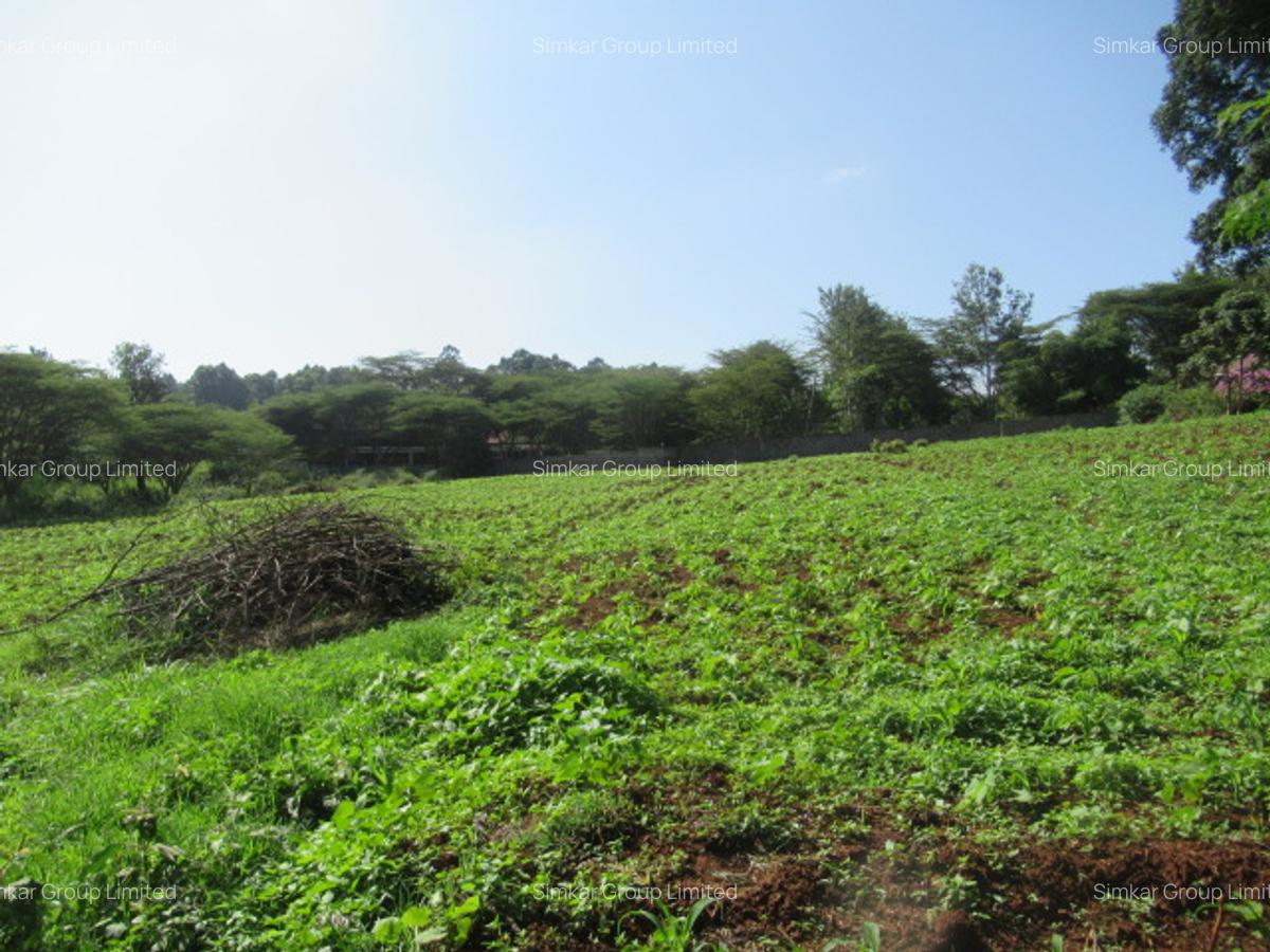 Residential Land at Ololua Ridge - 12