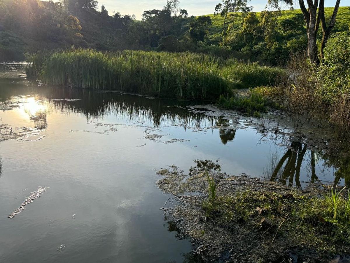 RIVERSPRINGS ESTATE TIGON in Tigoni, Kiambu County - 5